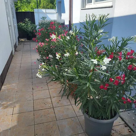 Apartman Hana